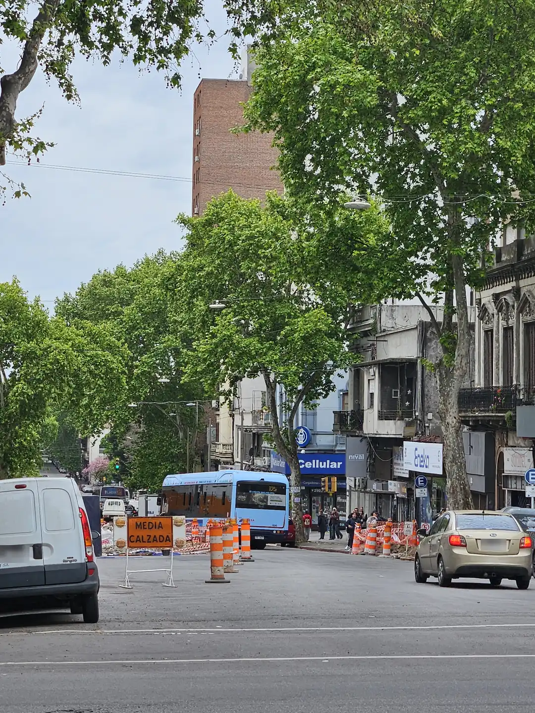 Avenida Rondeau bajo los plátanos: una hilera de conos naranjas y blancos y un cartel que dice «Media calzada» cierran la mitad de la avenida; al fondo, un ómnibus celeste; a la izquierda, una camioneta blanca estacionada y, a la derecha, un auto en la mitad abierta.