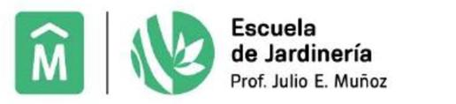 Costa uruguaya — vegetación de pinar y playa