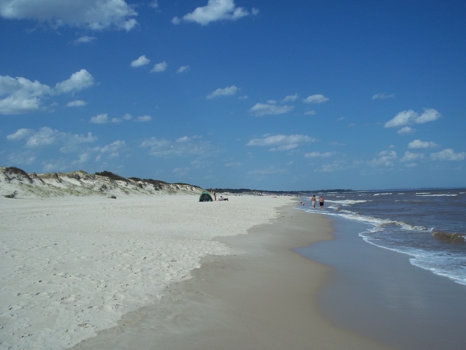 El Pinar