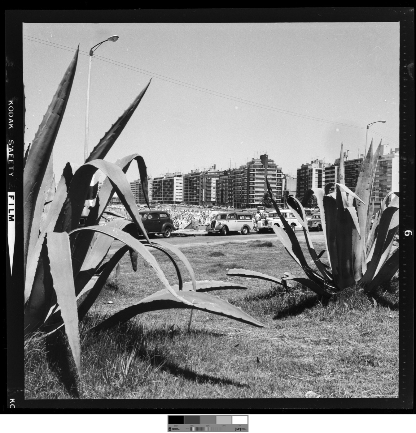 Foto histórica, febrero de 1971: rambla de Pocitos con autos estacionados sobre el cantero y torres nuevas al fondo.